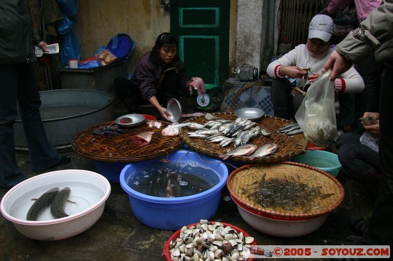 Hanoi - Old Quarter Market
Mots-clés: Vietnam Marche personnes