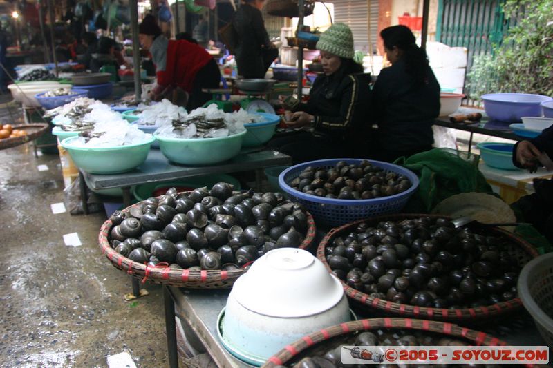 Hanoi - Old Quarter Market
Mots-clés: Vietnam Marche personnes