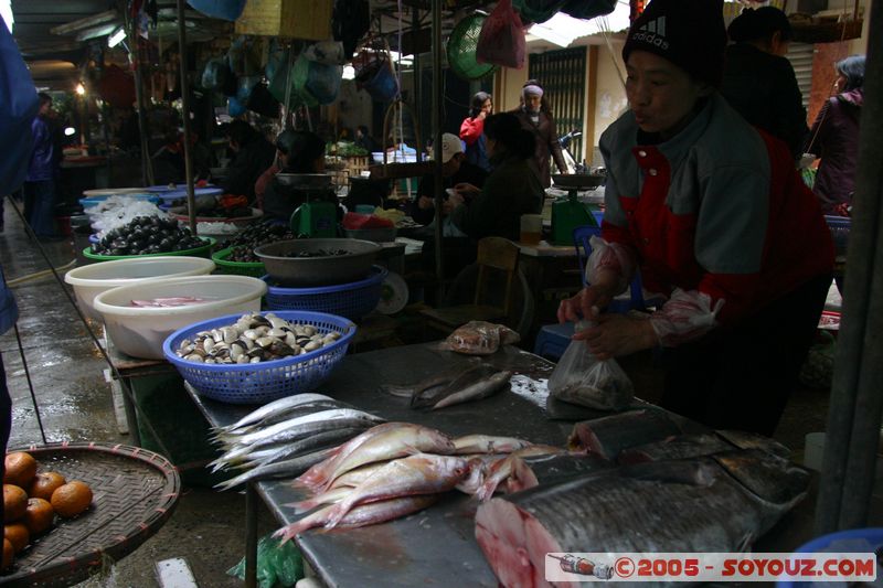 Hanoi - Old Quarter Market
Mots-clés: Vietnam Marche