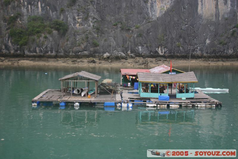 Halong Bay
Mots-clés: Vietnam patrimoine unesco mer brume