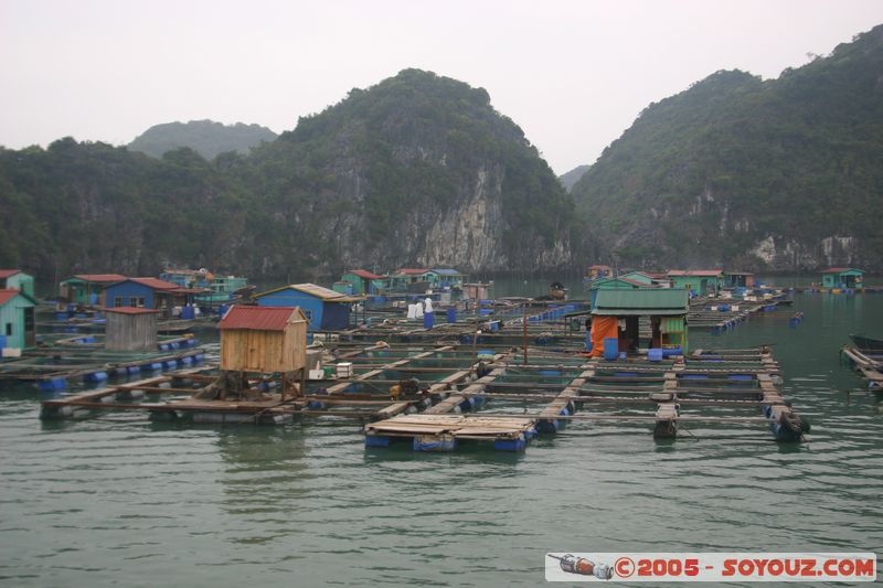 Halong Bay
Mots-clés: Vietnam patrimoine unesco mer