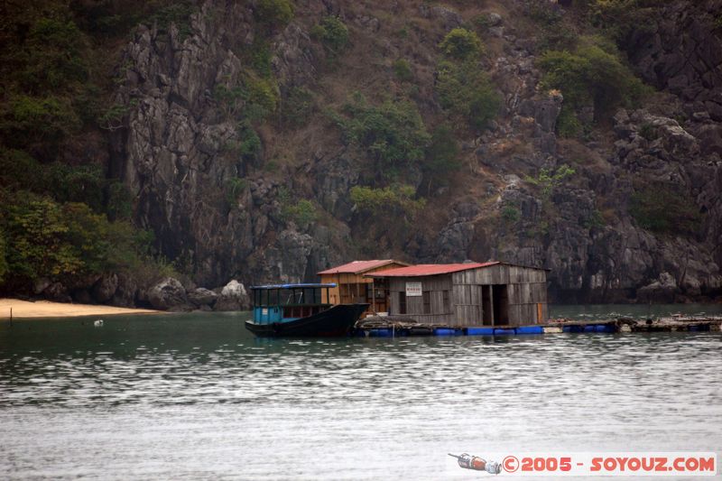 Halong Bay
Mots-clés: Vietnam patrimoine unesco mer bateau