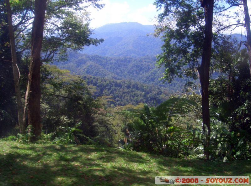 Jungle walks
Mots-clés: Cameron Highlands Jungle Treking Malaysia Tanah Rata Tea Plantations