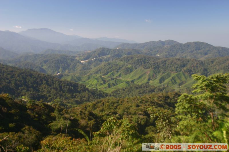 Jungle walks
Mots-clés: Cameron Highlands Jungle Treking Malaysia Tanah Rata Tea Plantations