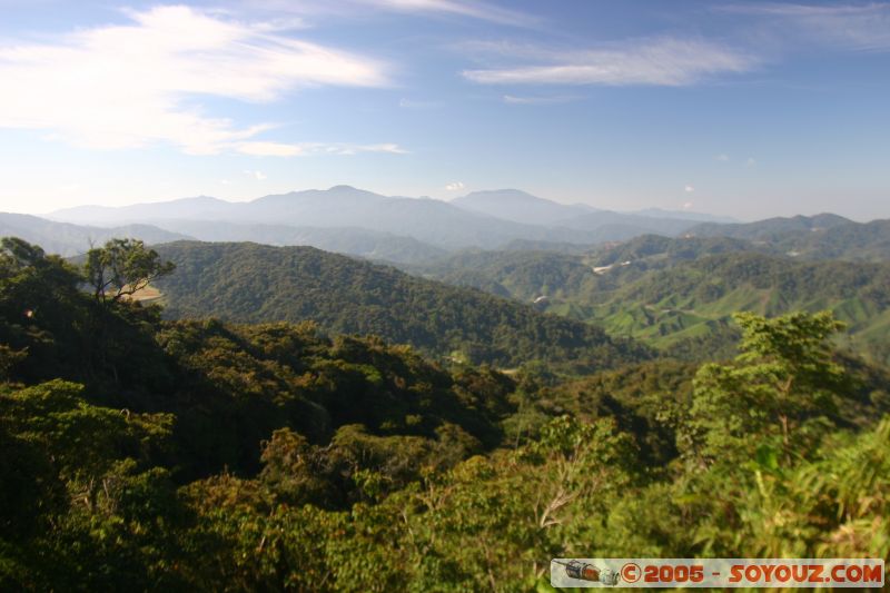 Jungle walks
Mots-clés: Cameron Highlands Jungle Treking Malaysia Tanah Rata Tea Plantations