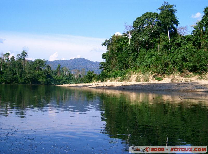 Sungai Tembeling
(rivière/river Tembeling)
Mots-clés: Jungle Treking Kuala Tahan Malaysia Taman Negara canopy walkway tropical rain forest