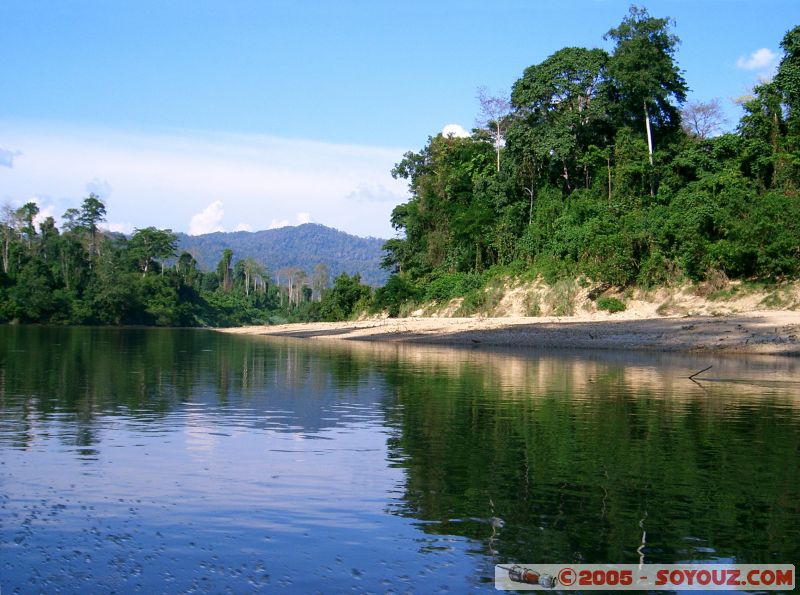 Sungai Tembeling
(rivière/river Tembeling)
Mots-clés: Jungle Treking Kuala Tahan Malaysia Taman Negara canopy walkway tropical rain forest