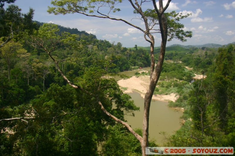 Vue sur le parc Taman Negara et rivière Tembeling
View on Taman Negara park and Tembeling river
Mots-clés: Jungle Treking Kuala Tahan Malaysia Taman Negara canopy walkway tropical rain forest