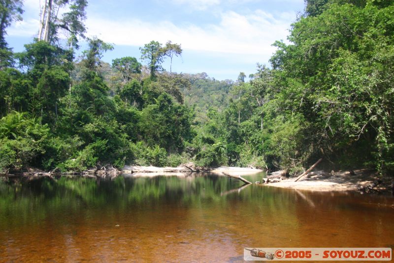 Lubok Simpon
Rivière Tahan
Mots-clés: Jungle Treking Kuala Tahan Malaysia Taman Negara canopy walkway tropical rain forest