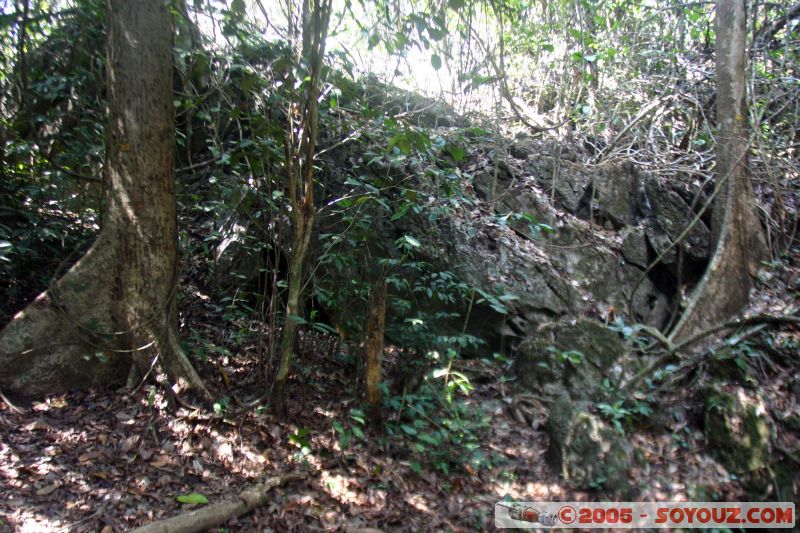 Gua Telinga
Mots-clés: Jungle Treking Kuala Tahan Malaysia Taman Negara canopy walkway tropical rain forest