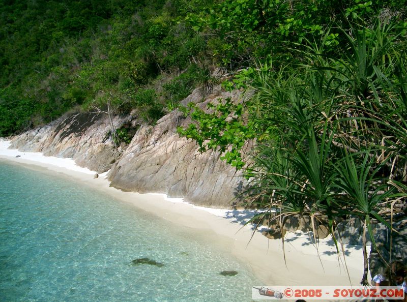 Sable blanc, eau turquoise, personne...
Paulau Perhentian Kecil
Mots-clés: Kecil Malaysia Perhentian Islands beach diving paradis paradise plongés scuba