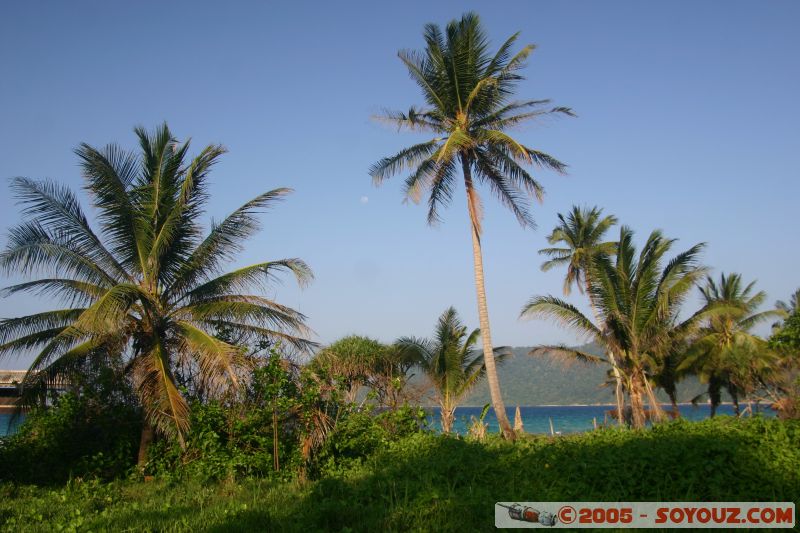 Palmier / palmtree
Long Beach - Paulau Perhentian Kecil
Mots-clés: Kecil Malaysia Perhentian Islands beach diving paradis paradise plongés scuba