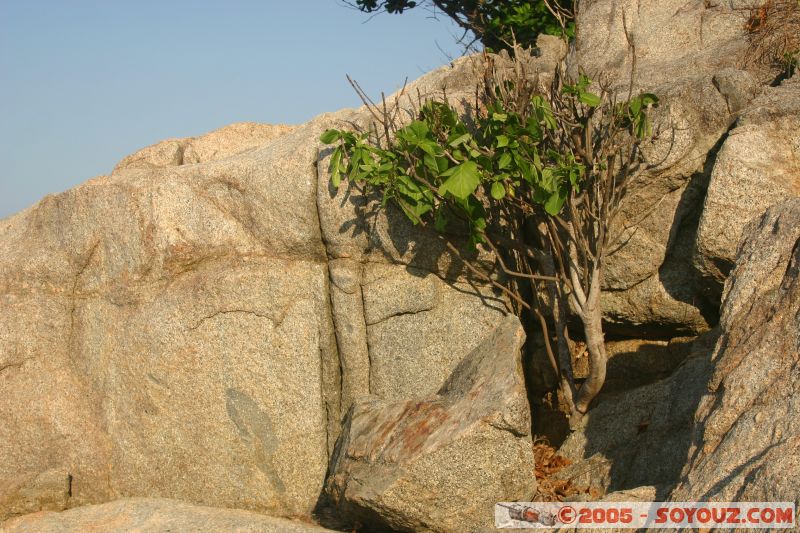 Rocks
Long Beach - Paulau Perhentian Kecil
Mots-clés: Kecil Malaysia Perhentian Islands beach diving paradis paradise plongés scuba