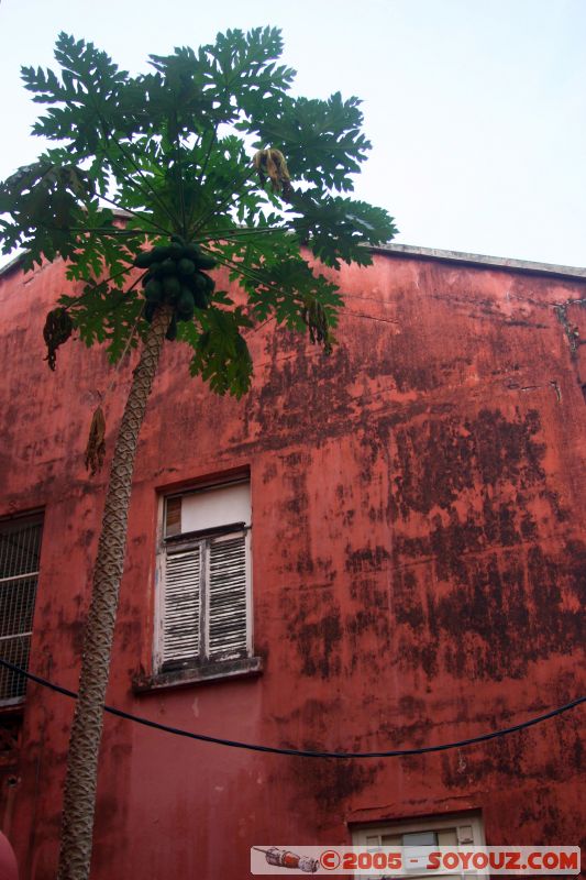 Dutch building
Mots-clés: A Famosa Cheng Hoon Teng Dutch Square Independence Malacca Malaysia Melaka Saint Francis Xavier