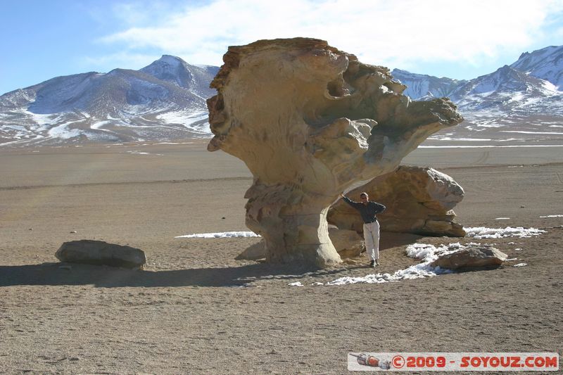 Desierto de Siloli - Arbol de Piedra et moi
