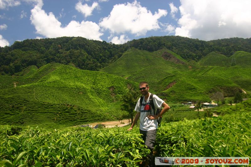 Cameron Highlands - Cameron Bharat Tea Estate
Mots-clés: Cameron Highlands