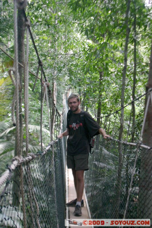 Taman Negara - Canopy walkway
Mots-clés: Malaysia Taman Negara