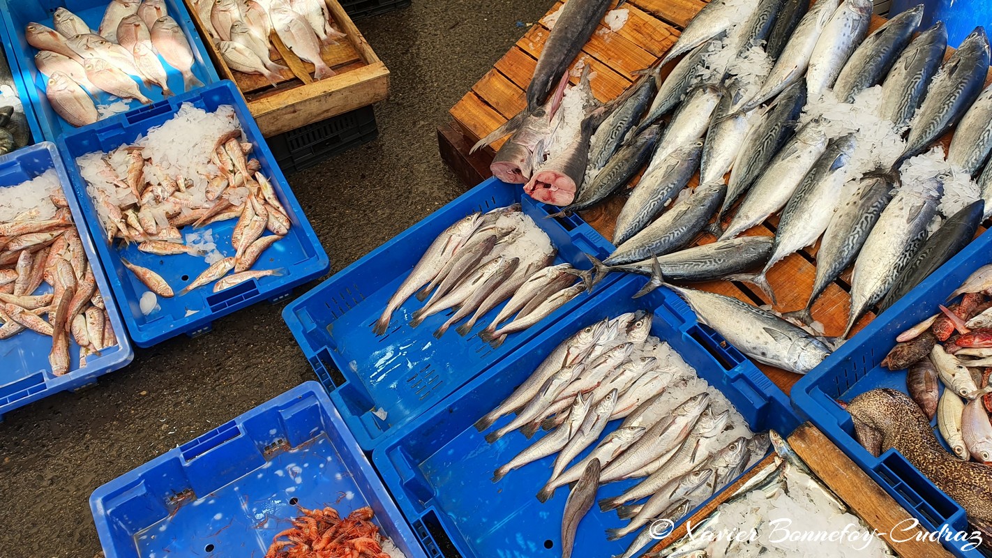 Tipaza - Port - Poisson
Mots-clés: Alg&eacute;rie Bekheira DZA geo:lat=36.59314939 geo:lon=2.45032400 geotagged Tipasa Tipaza DZ Port Poisson Nourriture