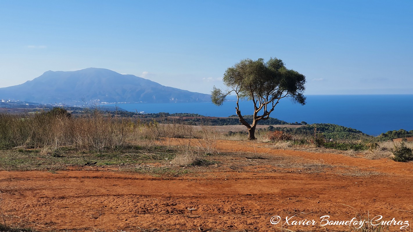Sidi Rached - Mausol&eacute;e royal de Maur&eacute;tanie
Mots-clés: Alg&eacute;rie Chibani DZA geo:lat=36.57516329 geo:lon=2.55229890 geotagged Sidi Rached Tipaza DZ paysage