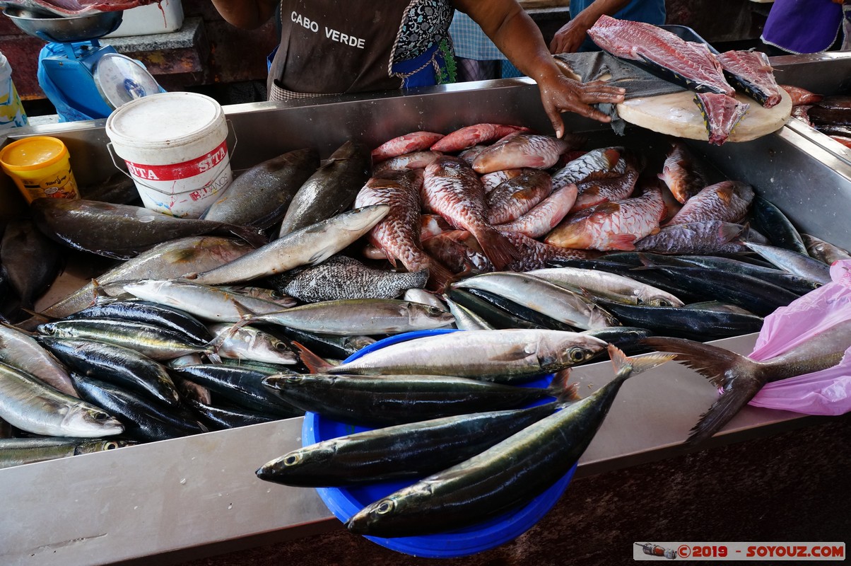 Sao Vicente - Mindelo - Mercado de Peixe
Mots-clés: Cap-Vert Ch&atilde; do Cemit&eacute;rio CPV geo:lat=16.88402250 geo:lon=-24.99011125 geotagged Sao Vicente Mindelo Mercado de Peixe Marche