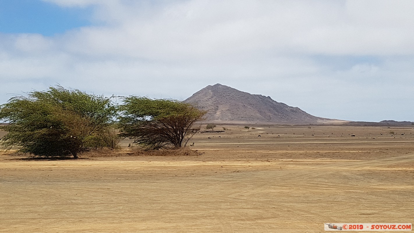 Sal - Terra Boa-Ilha do Sal
Mots-clés: Sal Terra Boa-Ilha do Sal