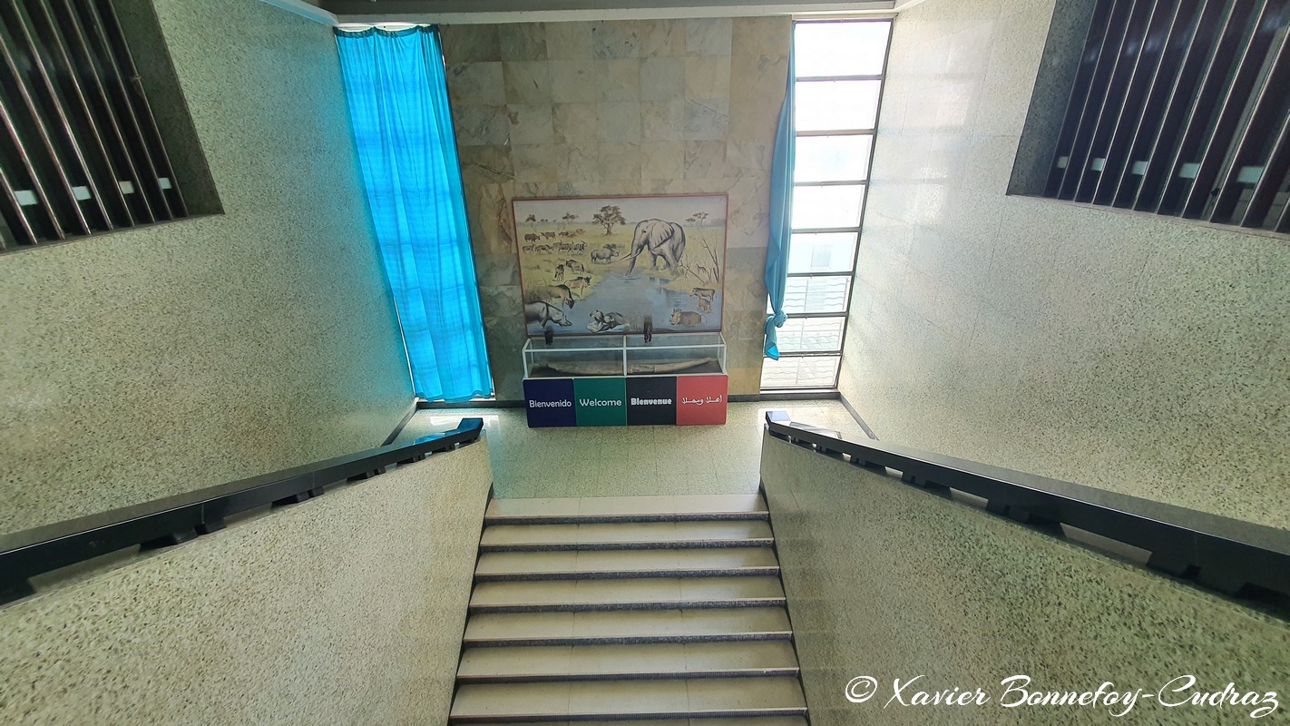 Mus&eacute;e National de la Mauritanie
Mots-clés: geo:lat=18.08535541 geo:lon=-15.97472191 geotagged Mauritanie MRT Nouakchott Trarza Mus&eacute;e National de la Mauritanie Nouakchott Ouest musee