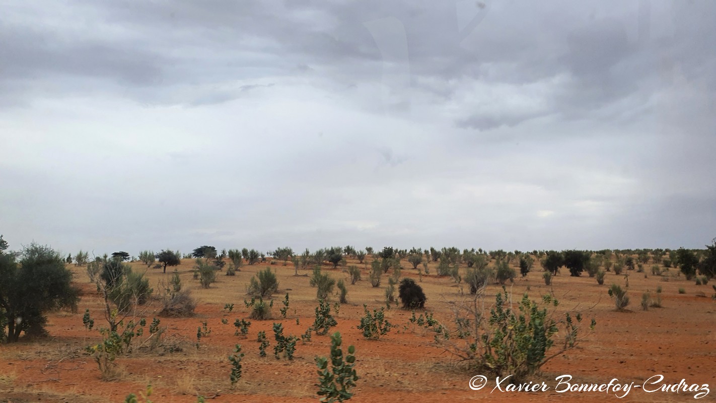 Kaṭaou&acirc;ne
Mots-clés: geo:lat=15.90718754 geo:lon=-6.31108761 geotagged Hodh ech Chargui Kaṭaou&acirc;ne Mauritanie MRT Desert