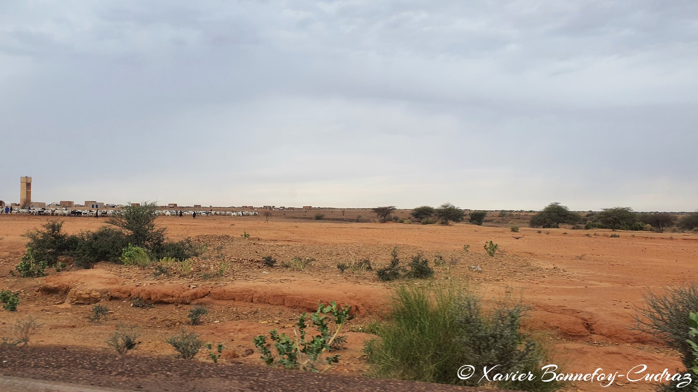 Bassikounou
Mots-clés: Bassikounou geo:lat=15.83759095 geo:lon=-6.15127087 geotagged Hodh ech Chargui Mauritanie MRT