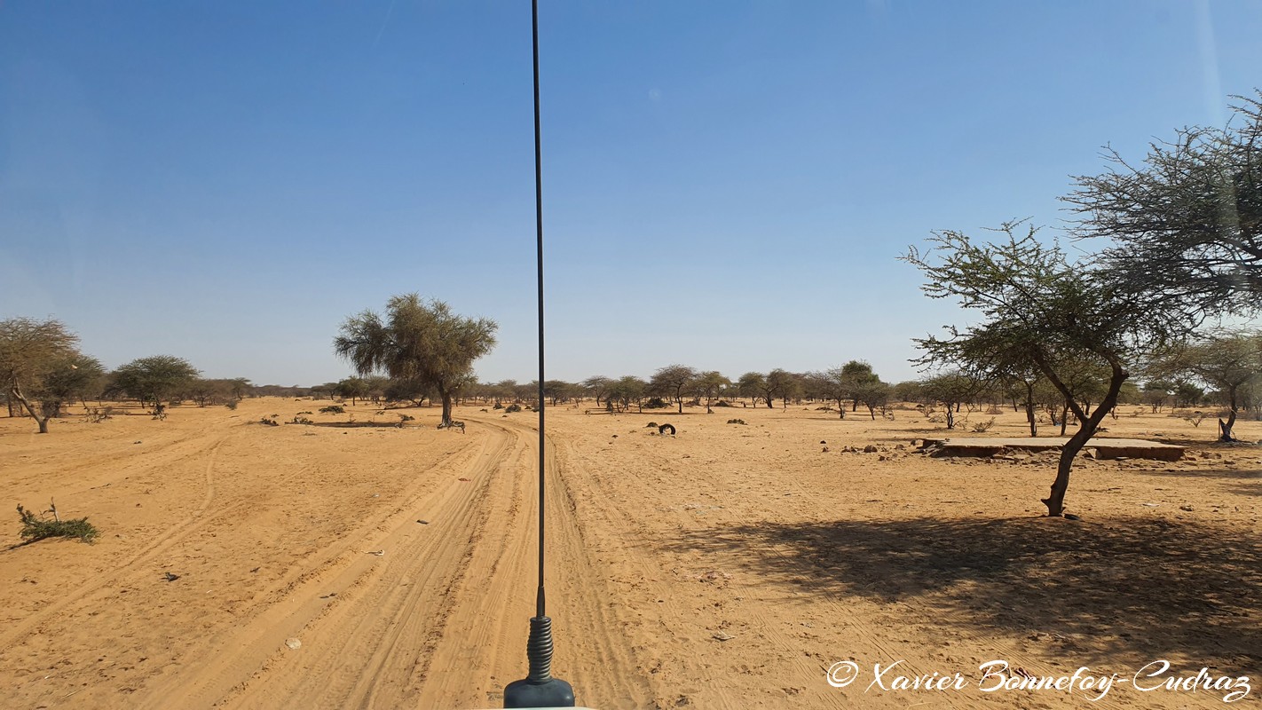 Bassikounou
Mots-clés: Bassikounou geo:lat=15.87244901 geo:lon=-5.94147652 geotagged Hodh ech Chargui Mauritanie MRT