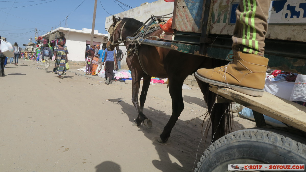 Saint-Louis - Marche Tendjiguen
Mots-clés: Diamaguene geo:lat=16.02361038 geo:lon=-16.49524212 geotagged Region Saint-Louis SEN Senegal Saint-Louis patrimoine unesco Marche Tendjiguen Marche personnes