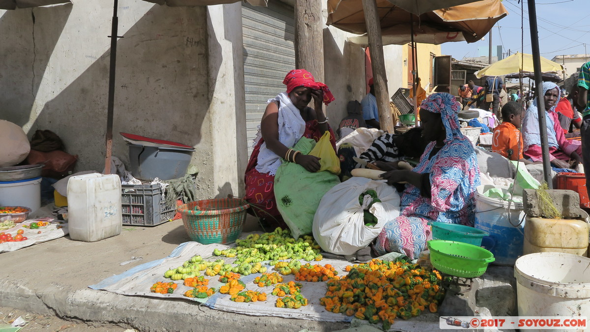 Saint-Louis - Marche Tendjiguen
Mots-clés: Diamaguene geo:lat=16.02411566 geo:lon=-16.49624795 geotagged Region Saint-Louis SEN Senegal Saint-Louis patrimoine unesco Marche Tendjiguen Marche personnes
