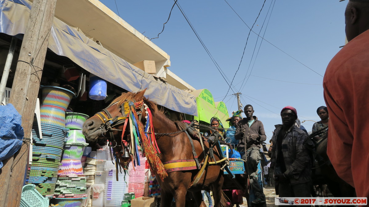 Saint-Louis - Marche Tendjiguen
Mots-clés: Diamaguene geo:lat=16.02411566 geo:lon=-16.49624795 geotagged Region Saint-Louis SEN Senegal Saint-Louis patrimoine unesco Marche Tendjiguen Marche personnes