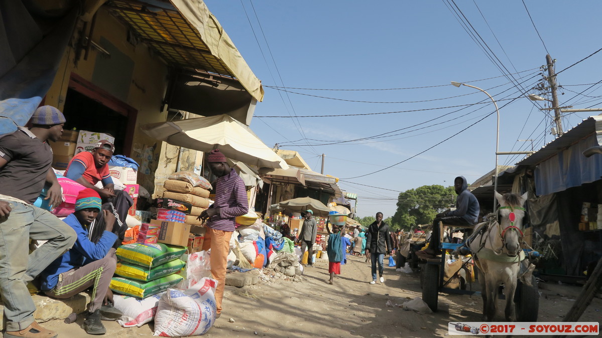 Saint-Louis - Marche Tendjiguen
Mots-clés: Diamaguene geo:lat=16.02465189 geo:lon=-16.49599046 geotagged Region Saint-Louis SEN Senegal Saint-Louis patrimoine unesco Marche Tendjiguen Marche personnes