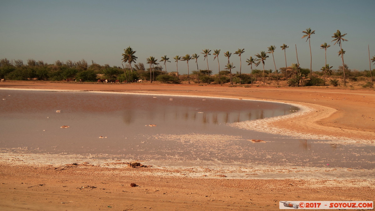 Gandiol - Lac de Ndiedene
Mots-clés: Gandiol geo:lat=15.89642558 geo:lon=-16.49580002 geotagged Region Saint-Louis SEN Senegal Lac