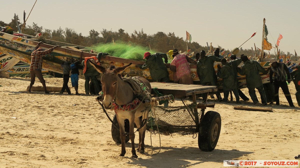 Tioukougne Peul - Retour de la peche
Mots-clés: geo:lat=15.44739283 geo:lon=-16.73365831 geotagged SEN Senegal Thi&egrave;s Tioukougne Peul Mer plage animals ane