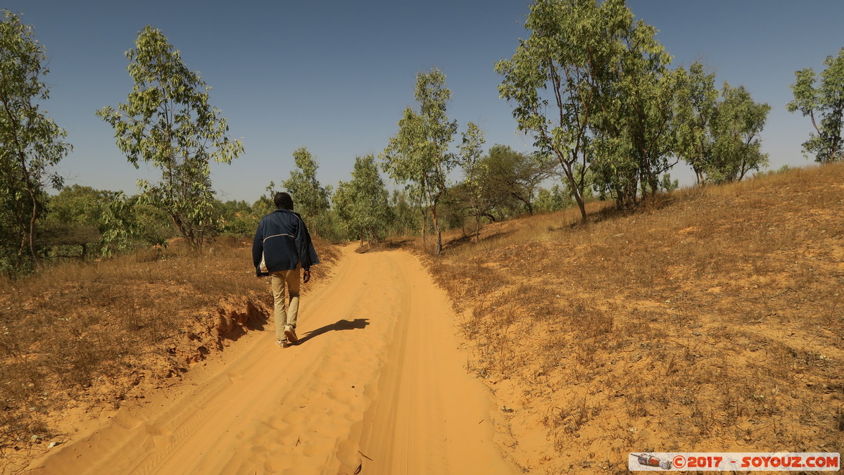 Desert de Lompoul
Mots-clés: geo:lat=15.45189123 geo:lon=-16.68658018 geotagged Mb&egrave;ss Region Louga SEN Senegal D&eacute;sert de Lompoul Desert Eucalyptus personnes