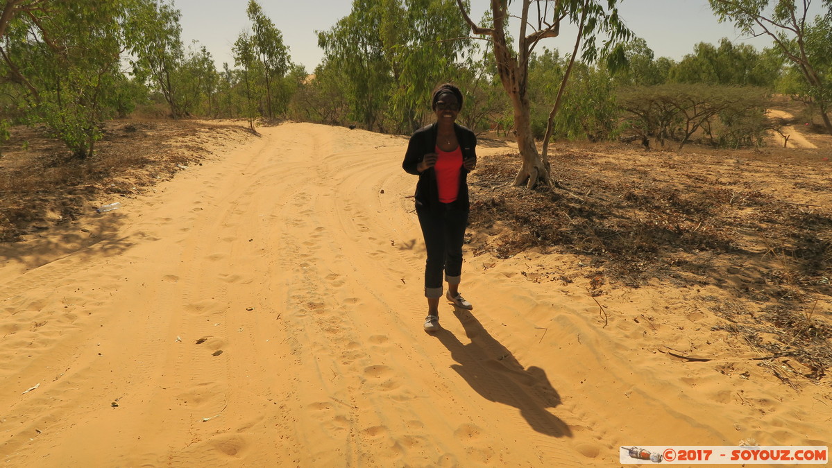 Desert de Lompoul
Mots-clés: geo:lat=15.45290465 geo:lon=-16.68686450 geotagged Mb&egrave;ss Region Louga SEN Senegal D&eacute;sert de Lompoul Desert Eucalyptus