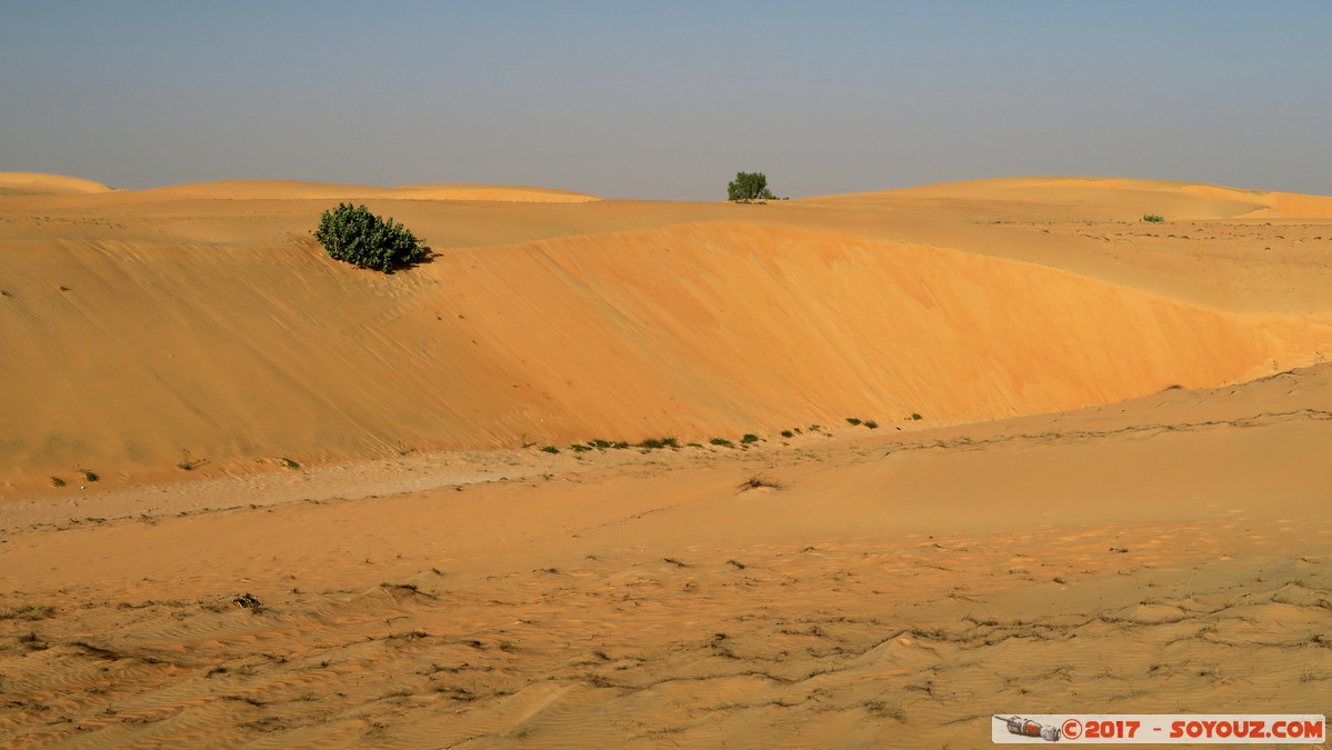 Desert de Lompoul
Mots-clés: geo:lat=15.45837496 geo:lon=-16.68788910 geotagged SEN Senegal Thi&egrave;s Tioukougne Peul D&eacute;sert de Lompoul Desert