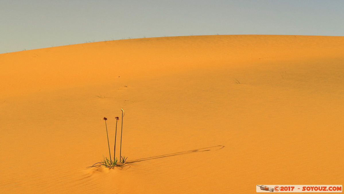 Desert de Lompoul
Mots-clés: geo:lat=15.45959516 geo:lon=-16.69102192 geotagged SEN Senegal Thi&egrave;s Tioukougne Peul D&eacute;sert de Lompoul Desert plante