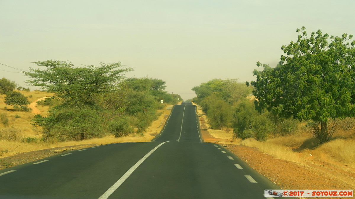 Route Lompoul-Kebemer
Mots-clés: geo:lat=15.46426908 geo:lon=-16.36241913 geotagged Region Louga SEN Senegal Sival Route