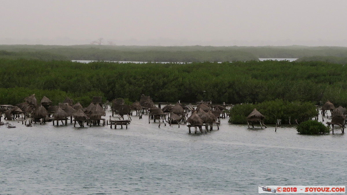 Ile de Fadiouth - Greniers &agrave; mil sur pilotiis
Mots-clés: geo:lat=14.15603536 geo:lon=-16.82581365 geotagged Joal-Fadiout SEN Senegal Thi&egrave;s Ile de Fadiouth Greniers &agrave; mil sur pilotiis