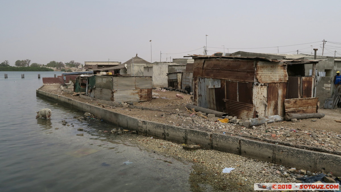 Ile de Fadiouth
Mots-clés: geo:lat=14.15175187 geo:lon=-16.82498217 geotagged Joal-Fadiout SEN Senegal Thi&egrave;s Ile de Fadiouth