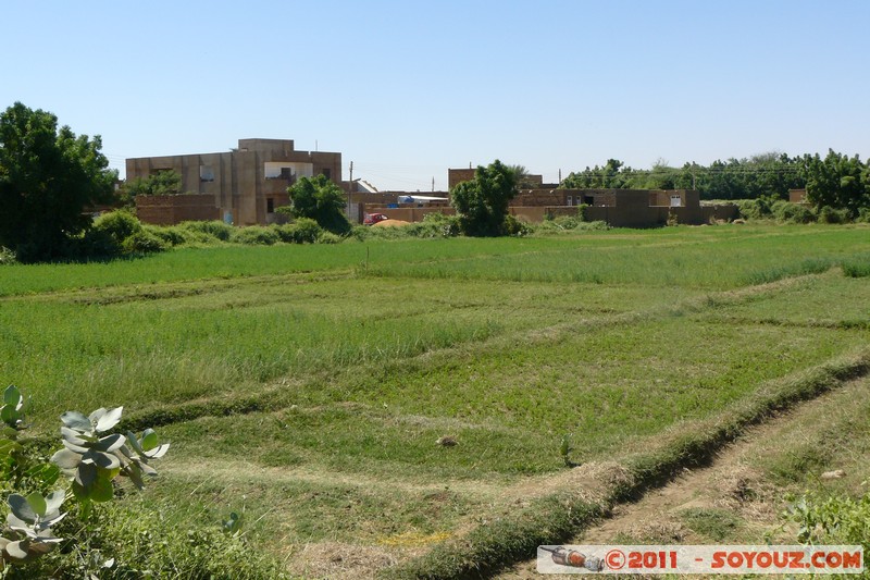 Khartoum - Tuti Island
Mots-clés: Al Khar&Aring;&pound;&Aring;&laquo;m geo:lat=15.62765754 geo:lon=32.50670747 geotagged Sababi SDN Soudan