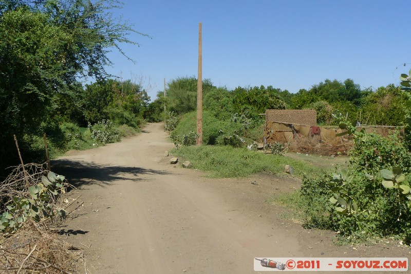 Khartoum - Tuti Island
Mots-clés: Al Khar&Aring;&pound;&Aring;&laquo;m geo:lat=15.62791760 geo:lon=32.50648654 geotagged Sababi SDN Soudan