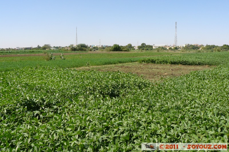 Khartoum - Tuti Island
Mots-clés: Al Khar&Aring;&pound;&Aring;&laquo;m geo:lat=15.63569290 geo:lon=32.50339407 geotagged Sababi SDN Soudan