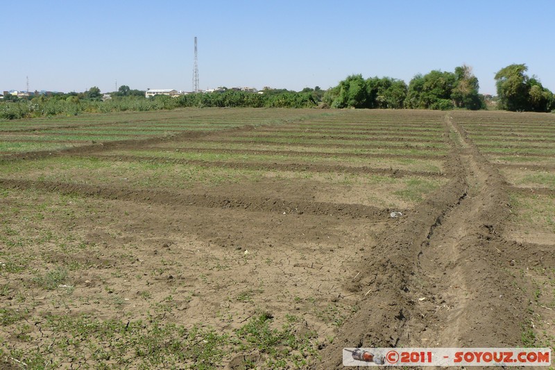 Khartoum - Tuti Island
Mots-clés: Al Khar&Aring;&pound;&Aring;&laquo;m geo:lat=15.63622327 geo:lon=32.50372746 geotagged Sababi SDN Soudan