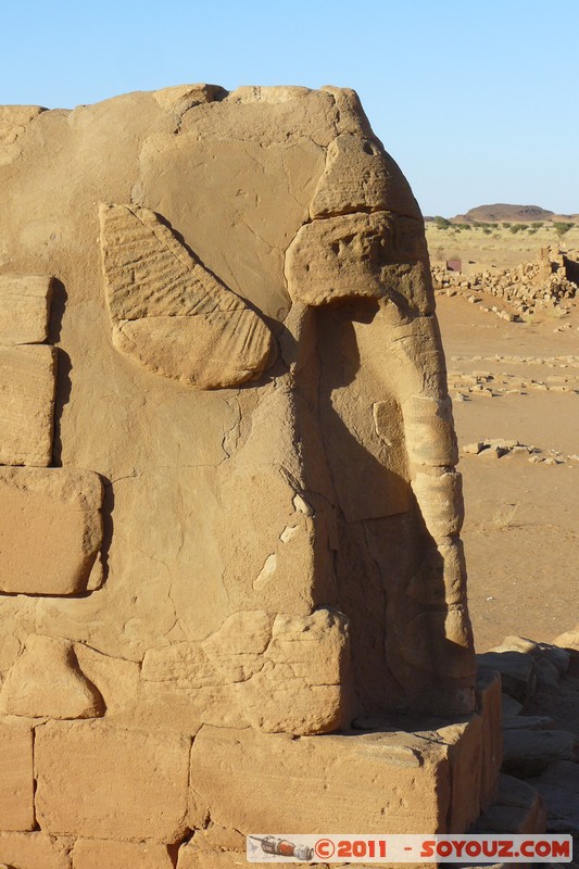 Musawwarat es-Sufra - Temple 100 - Elephant
Mots-clés: geo:lat=16.41269649 geo:lon=33.32375113 geotagged Hilla Nahr an NÄ«l SDN Soudan Ruines Egypte patrimoine unesco sculpture