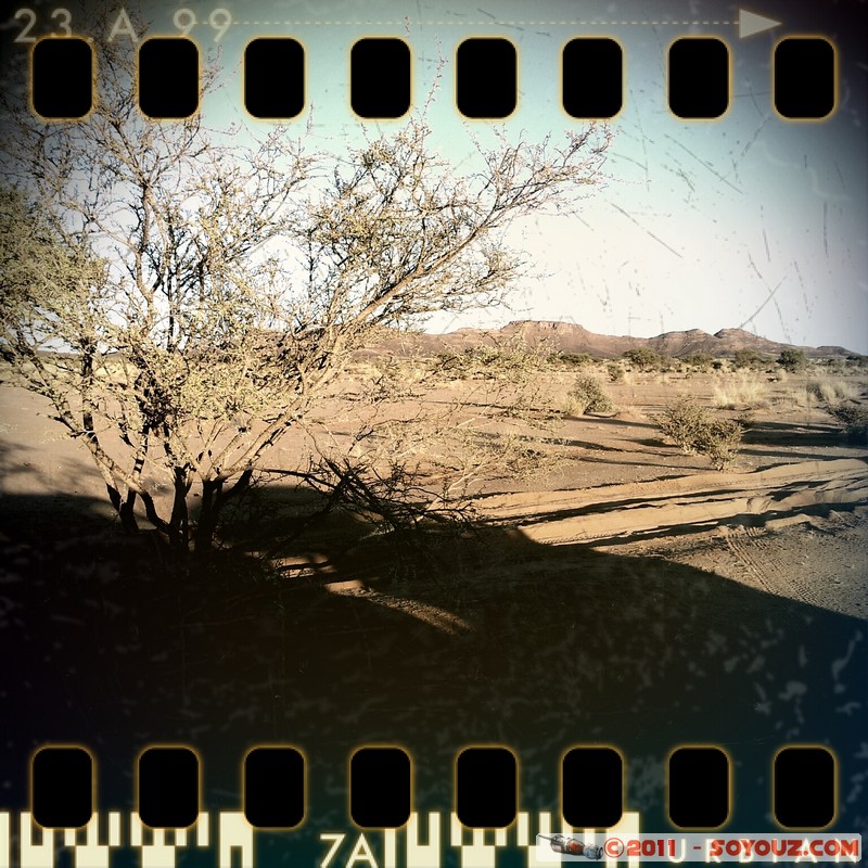 El Ghadoora - Desert
Mots-clés: Desert old camera Art