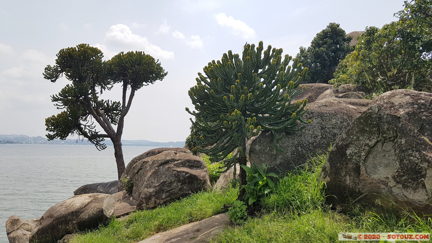 Mwanza - Capri Point
Mots-clés: Mwanza Tanzanie TZA Tanzania Capri Point Lake Victoria Lac