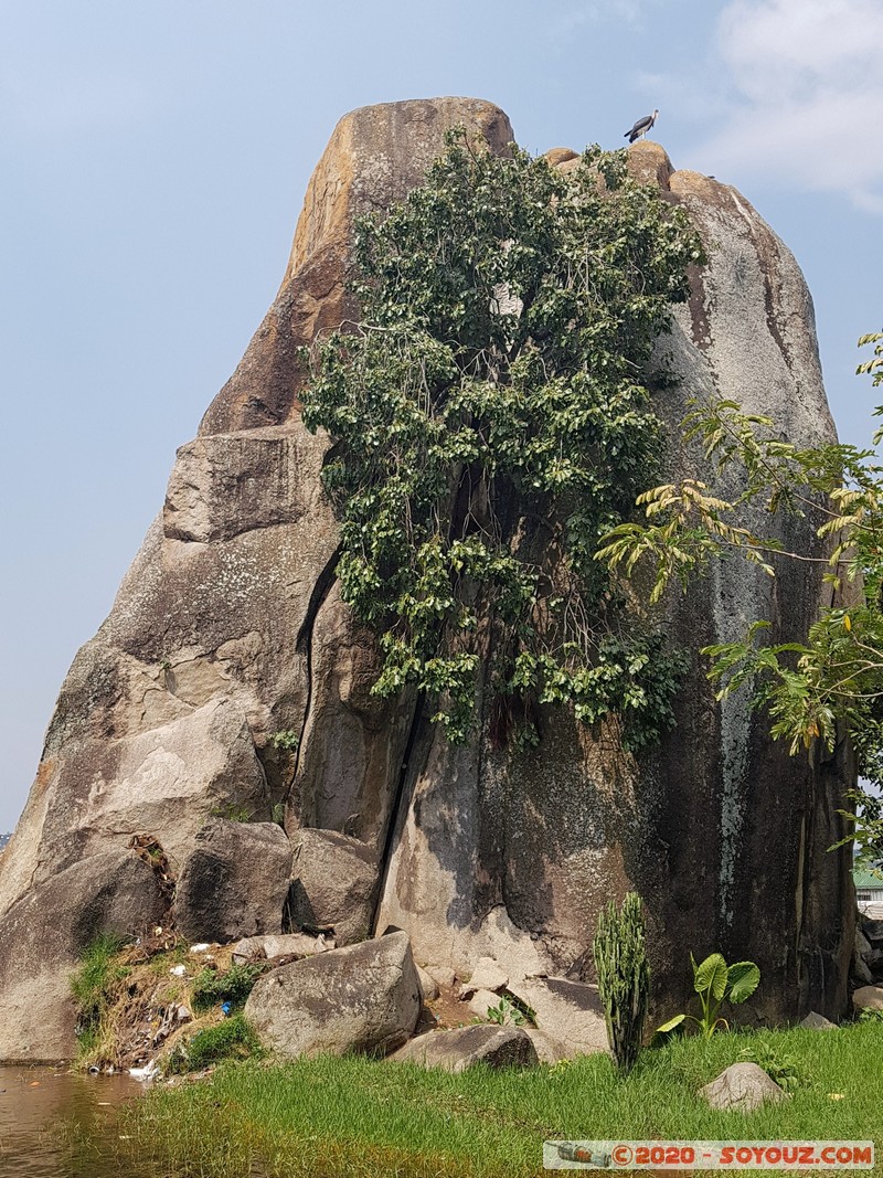 Mwanza - Capri Point - Bismarck Rock
Mots-clés: Mwanza Tanzanie TZA Tanzania Capri Point Bismarck Rock oiseau